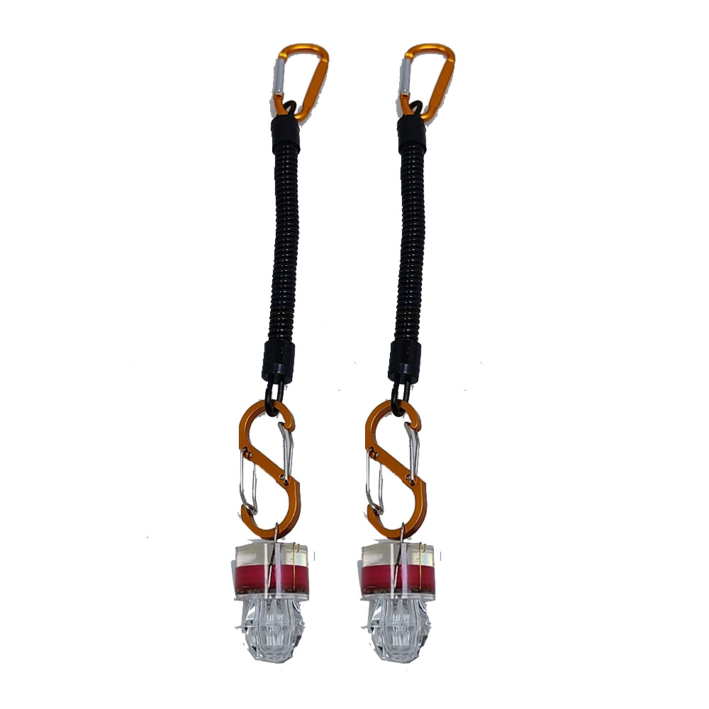 2-3個入り LED釣り用ライト ロープ付き 水中深投 防水 - Fish Alarm のレビューと価格